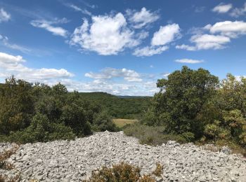 Trail Walking Saint-Gély-du-Fesc - Saint gel y/ Murles - Photo