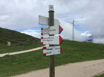 Percorso A piedi Canal San Bovo - (SI C14S) Caoria - Ponte Stel - Valsorda - Malga Tognola di Siror - Malga Valcigolera - Passo Colbricon - Rifugio Laghi Colbricon - Passo Rolle - Photo