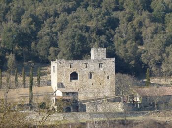 Excursión A pie Montagut i Oix - Oix-Santa Bàrbara de Pruneres - Photo