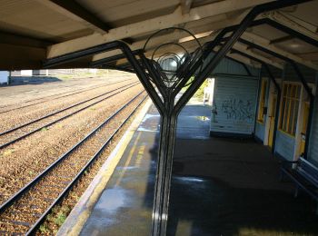 Tour Zu Fuß  - Mangahao - Manahika Track extension - Photo