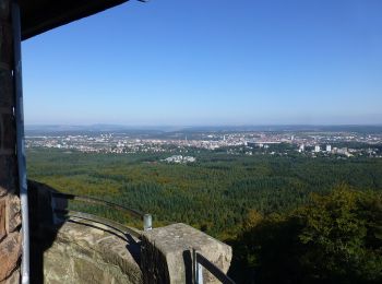 Randonnée A pied  - Waldlehrpfad Bremerhof - Photo