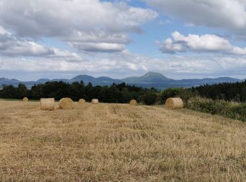 Tour Wandern Gelles - Gelles - Photo