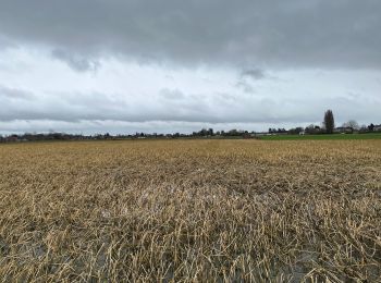 Randonnée Marche Leers - Leers 9,7 km - Photo