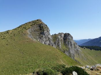 Excursión Senderismo Moncaup - col des are au pic du gar - Photo