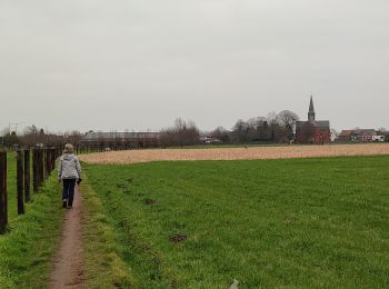 Percorso Marcia Londerzeel - Sint-Jozef - Lippelo - Photo