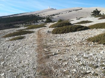 Percorso Marcia Bédoin - Les Glacières du Facteur  - Photo