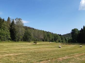 Excursión Senderismo Plateau d'Hauteville - Chemin de crête de Valorse - Photo