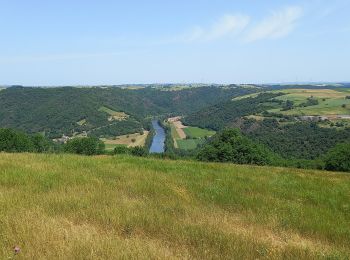 Percorso Marcia Curvalle - J13: Villeneuve sur Tarn- La Condomine-210522 - Photo