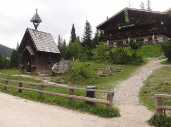 Tocht Te voet Innichen - San Candido - IT-8 - Photo