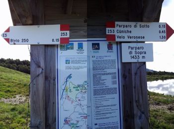 Tour Zu Fuß Prugne - Dorsale Alta della Lessinia tratto Giazza - Parparo di Sopra - Photo