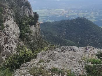 Tocht Stappen Pourcieux - 08-06-2023 Mont Aurélien -  Pas de la Croix - Photo