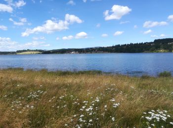 Tocht Stappen Naussac-Fontanes - Lac de Naussac (05 07 2020) - Photo