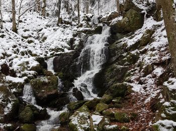 Tour Wandern Neuweiler - Natzwiller - cascade de la Serva - Champ du Feu - Photo