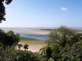 Randonnée Marche Saint-Valery-sur-Somme - Baie de Somme - Photo