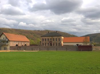 Tour Zu Fuß Lohr am Main - Methusalem Wanderweg Braune Route - Photo