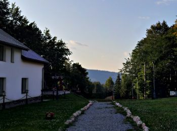 Tour Zu Fuß Mittelstadt - Lacul Bodi – intersecție traseul BA - Photo