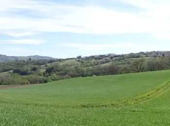 Excursión Senderismo Authezat - Château de Chadieu (Montpeyroux) - Photo