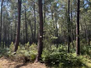 Excursión Senderismo Liniers - Mouillère 14kms - Photo