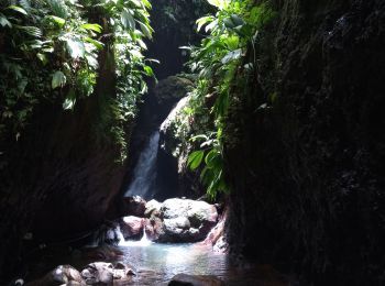 Excursión Senderismo Bouillante - Trou à Diable par la rivière Bourceau - Photo