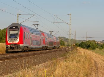 Percorso A piedi Gemünden am Main - Ortswanderweg Gemünden 4 - Photo