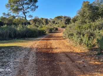 Tour Wandern Montmirat - Montmirat-les grottes - Photo