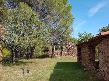 Trail Walking Les Mayons - LES MAYONS - LA PLAINE DES MAURES - Photo