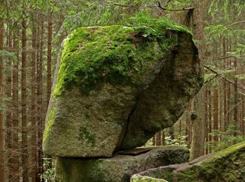 Excursión A pie Gemeinde Groß Gerungs - Höhenweg 3 - Photo