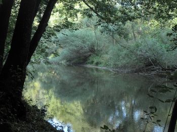 Excursión A pie  - Cărbunari – Lacul Dracului (blue stripe) - Photo