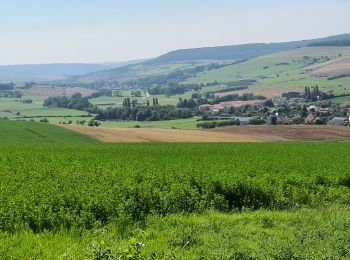 Tocht Stappen Leyr - Leyr - plateau de la Rochette - Photo