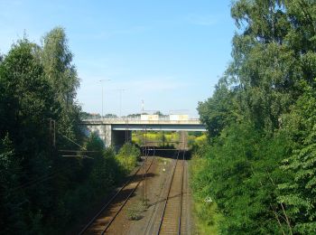 Tocht Te voet Szklary Górne - Szklary Górne - Lubin - Photo