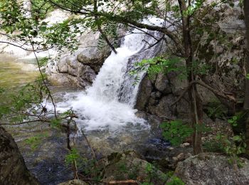 Tour Wandern Toulaud - l'Embroye - Photo