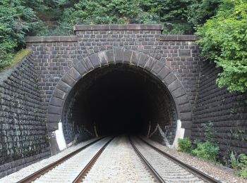 Percorso A piedi Předklášteří - Naučná stezka Předklášteří - Photo