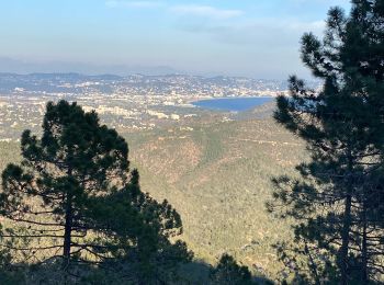 Randonnée Marche Mandelieu-la-Napoule - Esterel volcan - Photo