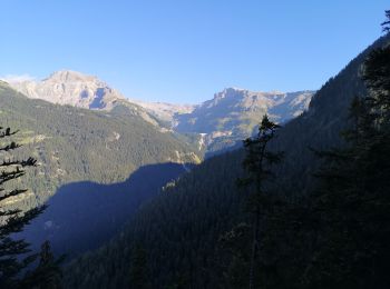 Randonnée Marche nordique Icogne - 21.08.20 bisse du Rhô - Photo