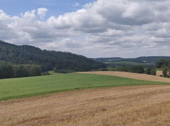 Randonnée Vélo électrique Docelles - St Jean le boulay - Photo