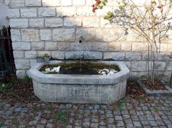 Tour Zu Fuß Solnhofen - Rundwanderweg Solnhofen 8 - Photo