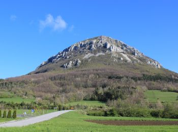 Excursión A pie Vipava - 145 ~ Pot kurirjev in vezistov NOV Slovenije - Photo