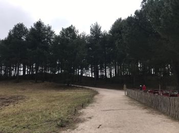 Tour Radtourismus  Quend - Belle Dune - Parc du Marquenterre - Photo