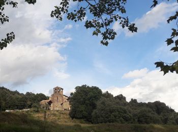 Tour Zu Fuß Santa Pau - Santa Pau, ruta dels gorgs - Photo