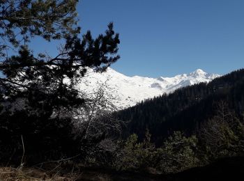 Excursión Raquetas de nieve Valloire - col du Télégraphe  - Photo