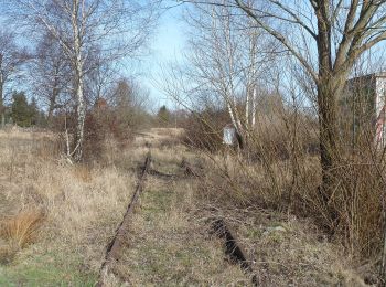 Tocht Te voet Ziesar - Naturparkrundwanderweg 51 