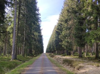 Trail Cycle Eupen - Ovelo - The High Fens in the eastern part of the Hertogenwald - Photo