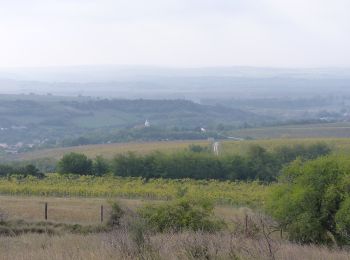 Randonnée A pied Esztergom - Z+ (Kesztölc, Dózsa György utca - Sasfészek (Berda József kh.) - Pilisszentlélek, aut. ford.) - Photo