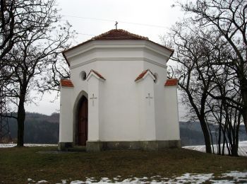 Randonnée A pied Moravské Knínice - Naučná stezka k.ú. Moravské Knínice - Photo