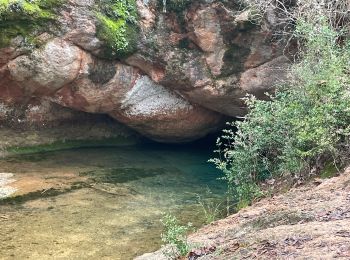 Trail Walking Grabels - Tour de Grabels par la source de l’Avy, La Croix de Guillery - Photo