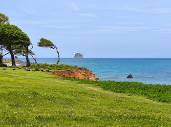 Trail Walking Sainte-Rose - Guadeloupe - Littoral Sainte Rose - Photo