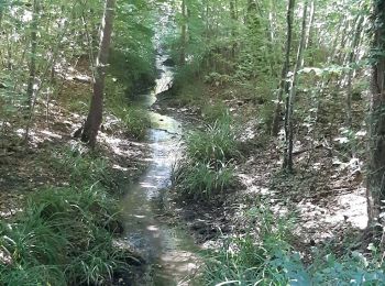 Trail Walking Saint-Jean-aux-Bois - SAINT JEAN AUX BOIS, le village et les bois - Photo