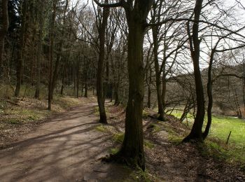 Tour Zu Fuß Witten - Muttental Rundweg A3 - Photo