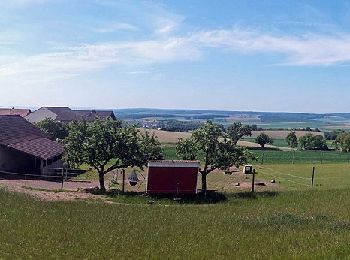 Randonnée A pied Aidhausen - Rundwanderweg Hase - Photo