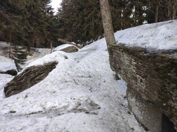 Tour Zu Fuß Trojanowitz - Naučná stezka Čertův mlýn - Photo